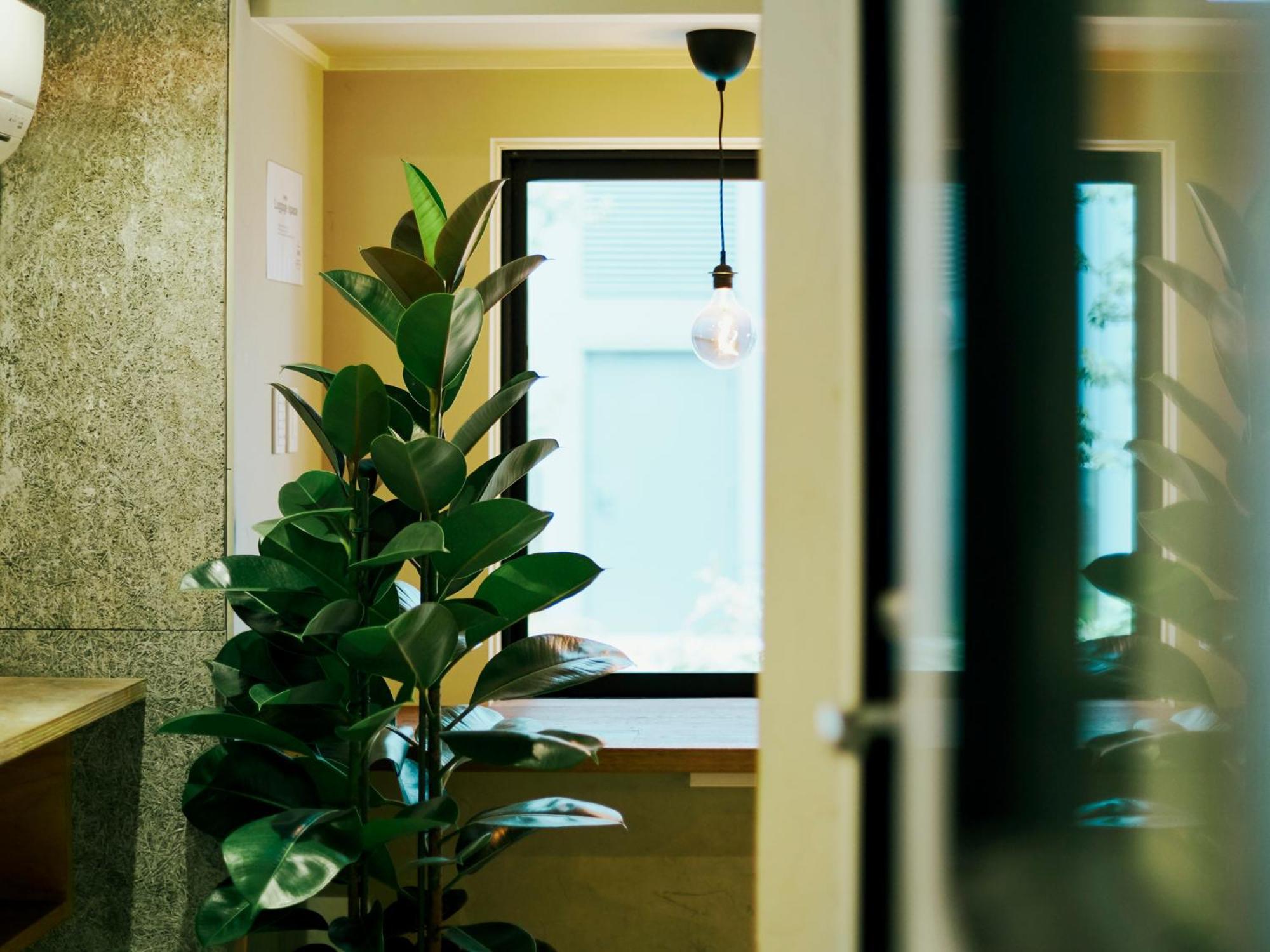 Akasaka Guesthouse Hive Tokio Buitenkant foto